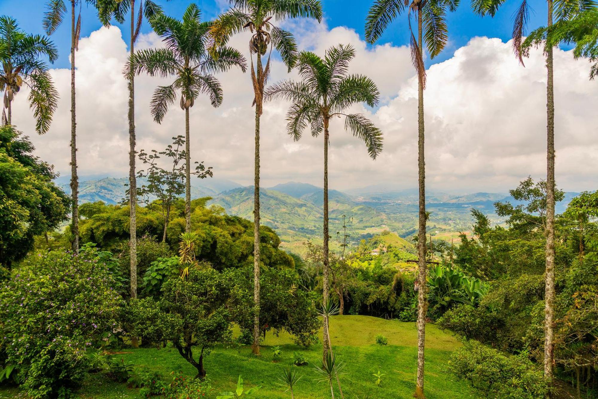Aldea Sabatinga Βίλα Manizales Εξωτερικό φωτογραφία