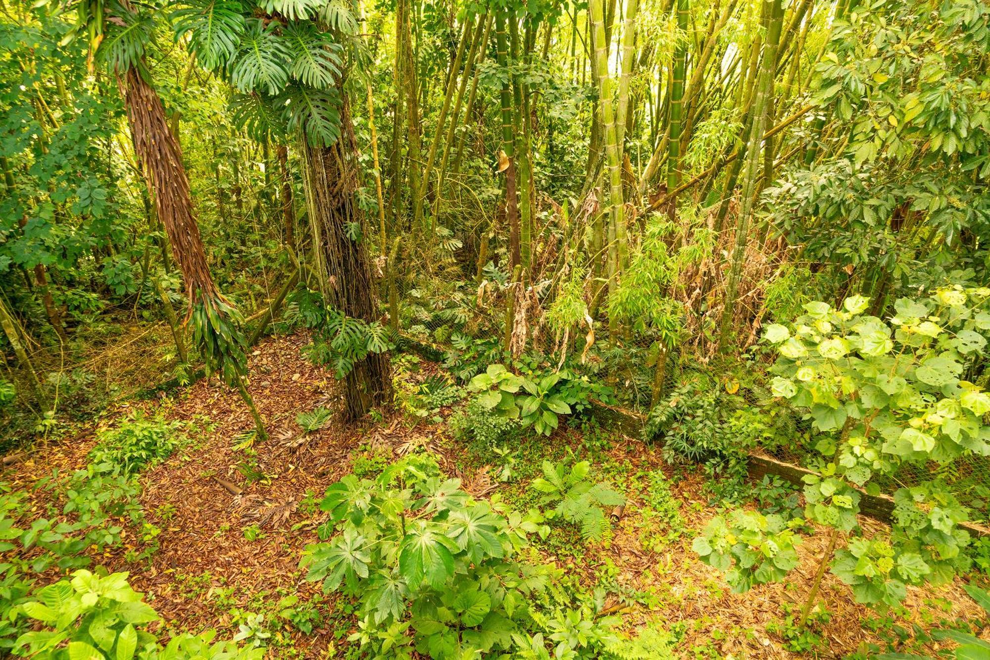 Aldea Sabatinga Βίλα Manizales Εξωτερικό φωτογραφία